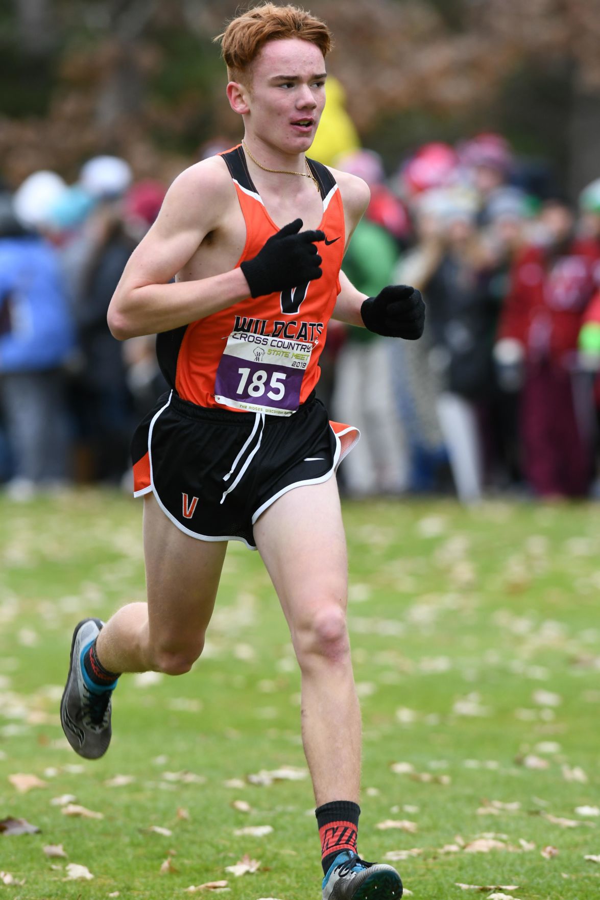 WIAA state cross country photo: Aidan Manning, Verona